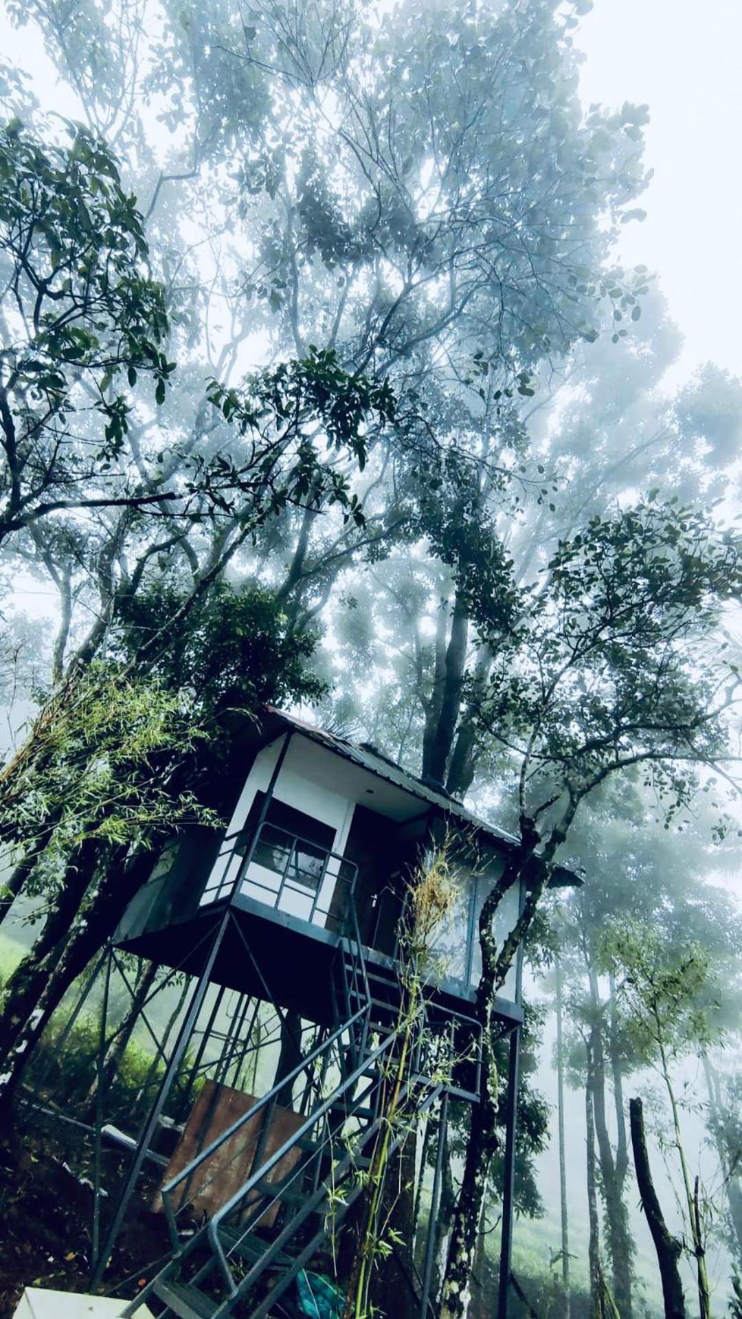 Silent House Villa Kudayattur Ngoại thất bức ảnh