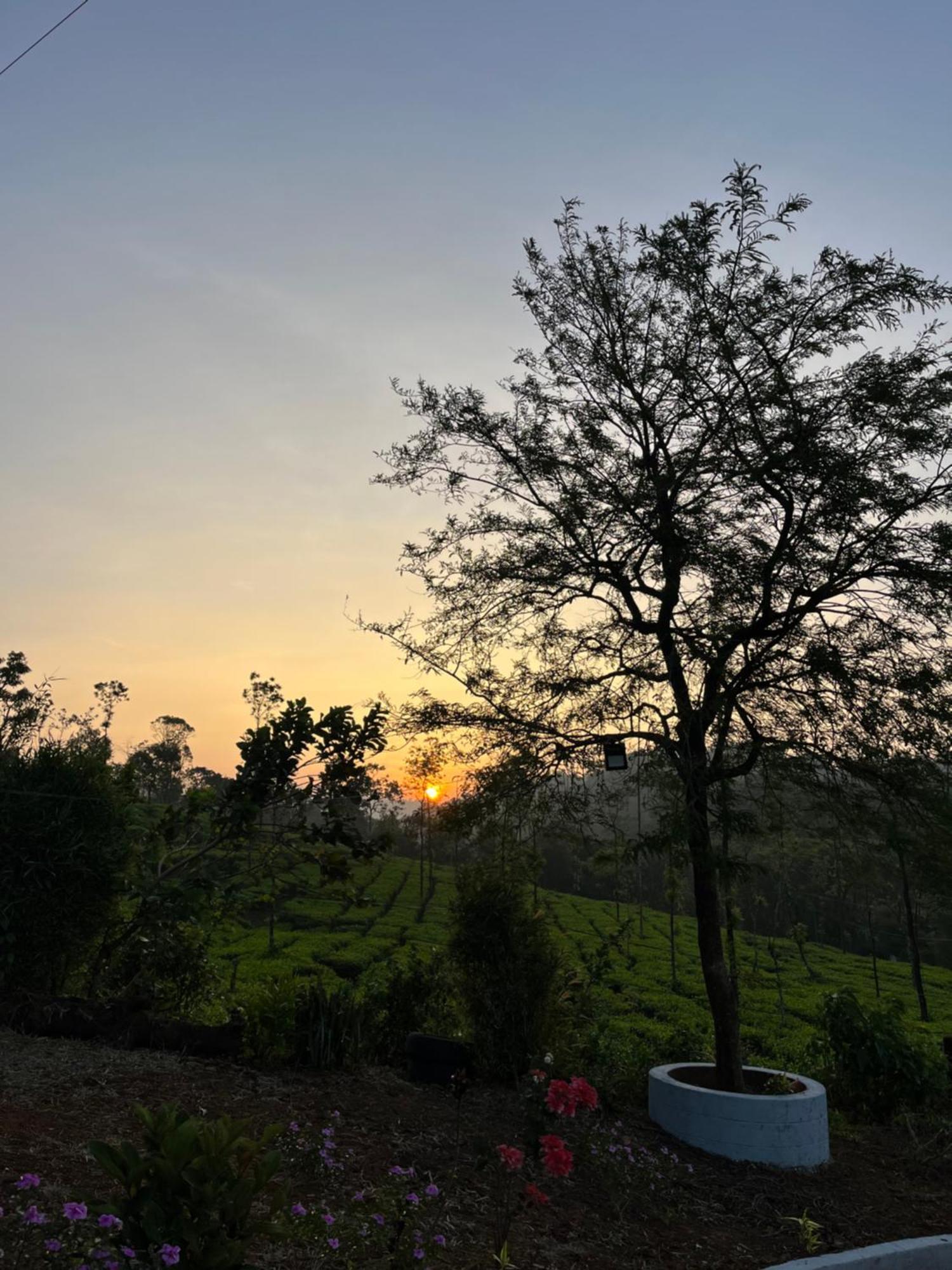 Silent House Villa Kudayattur Ngoại thất bức ảnh