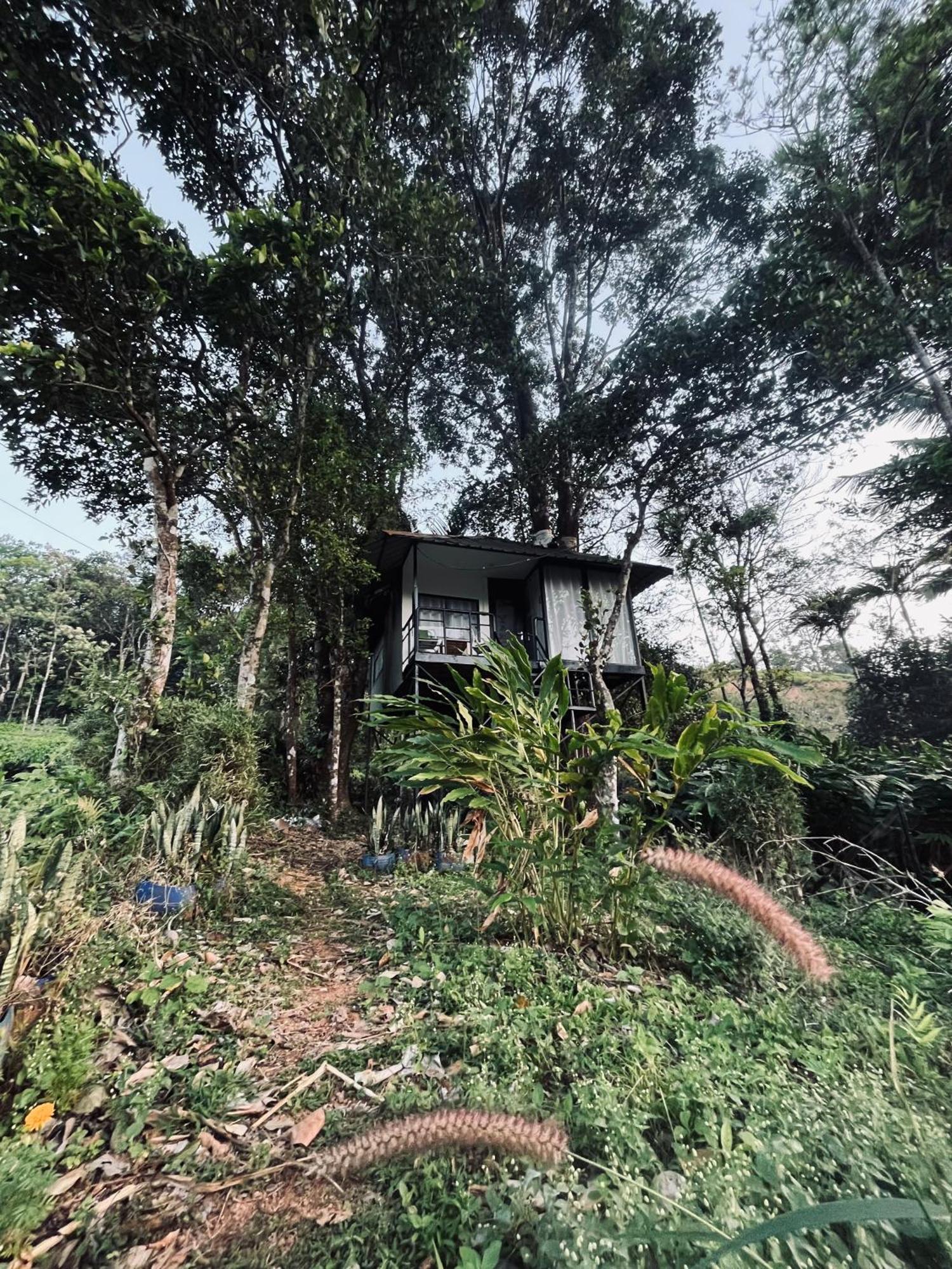 Silent House Villa Kudayattur Ngoại thất bức ảnh
